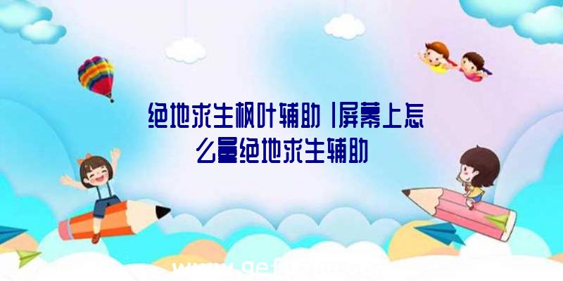 「绝地求生枫叶辅助」|屏幕上怎么量绝地求生辅助